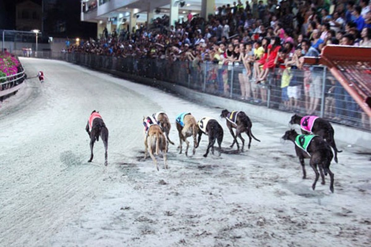 Learn Vung Tau’s heritage with expert insights