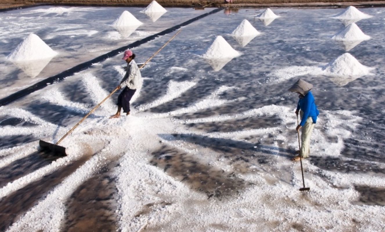 Capture the authentic charm of Ca Mau’s eco-tourism