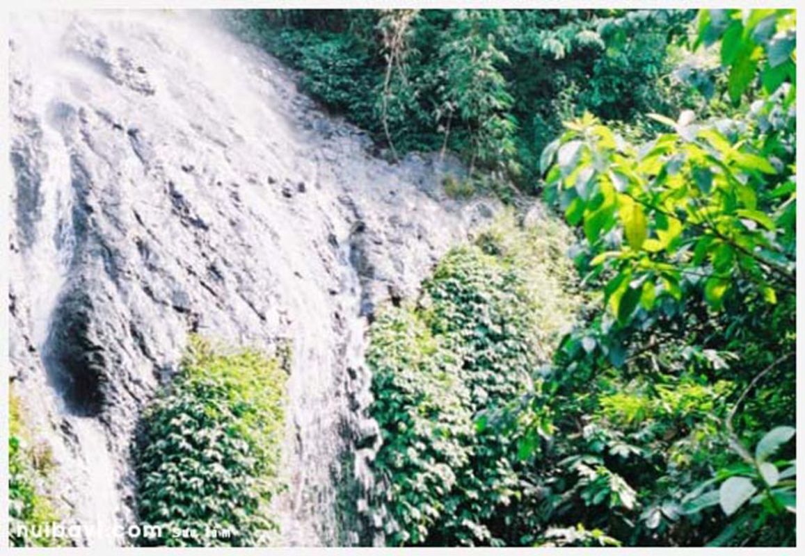 Capture the sustainable charm of Hanoi’s ecotourism