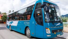 Dive into the authentic charm of Ca Mau Travel