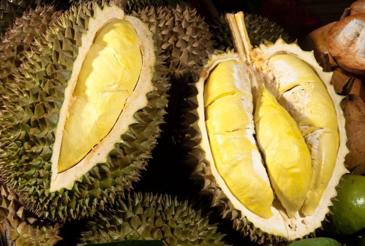 Tasting local Delicacies