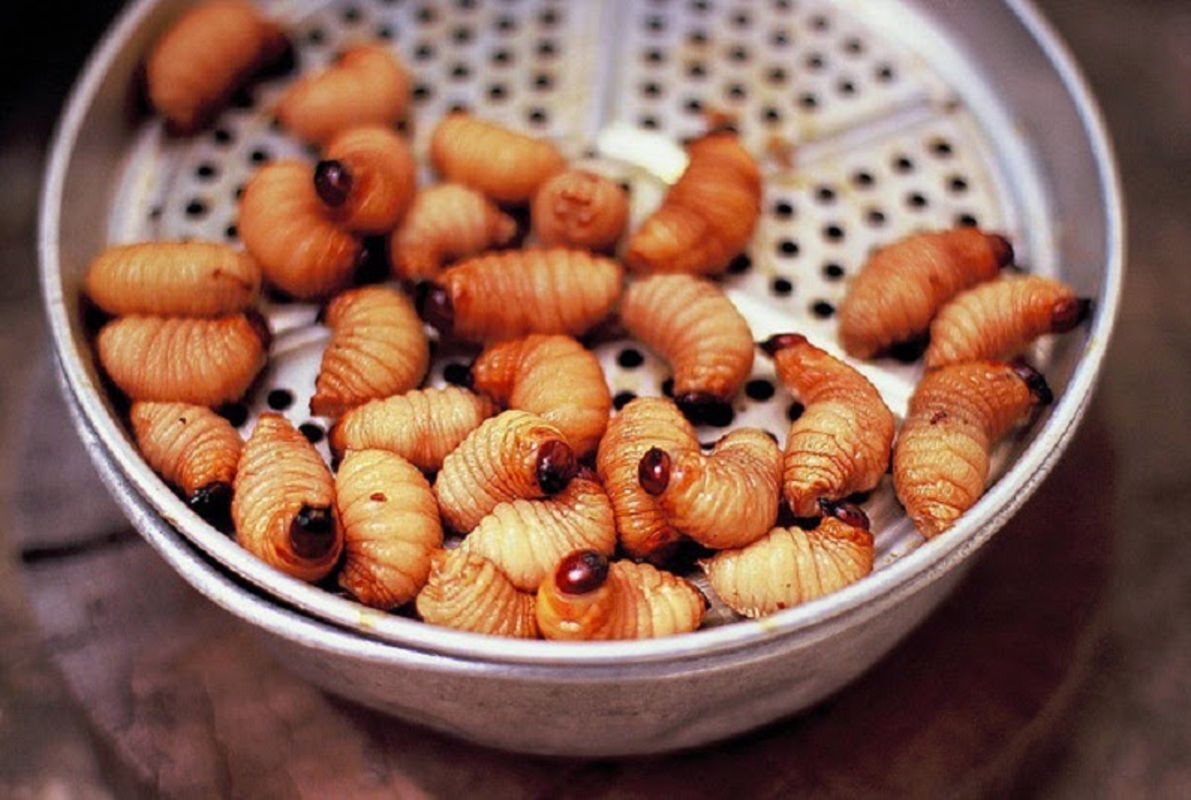 Dive into the bold flavors of Ben Tre Travel