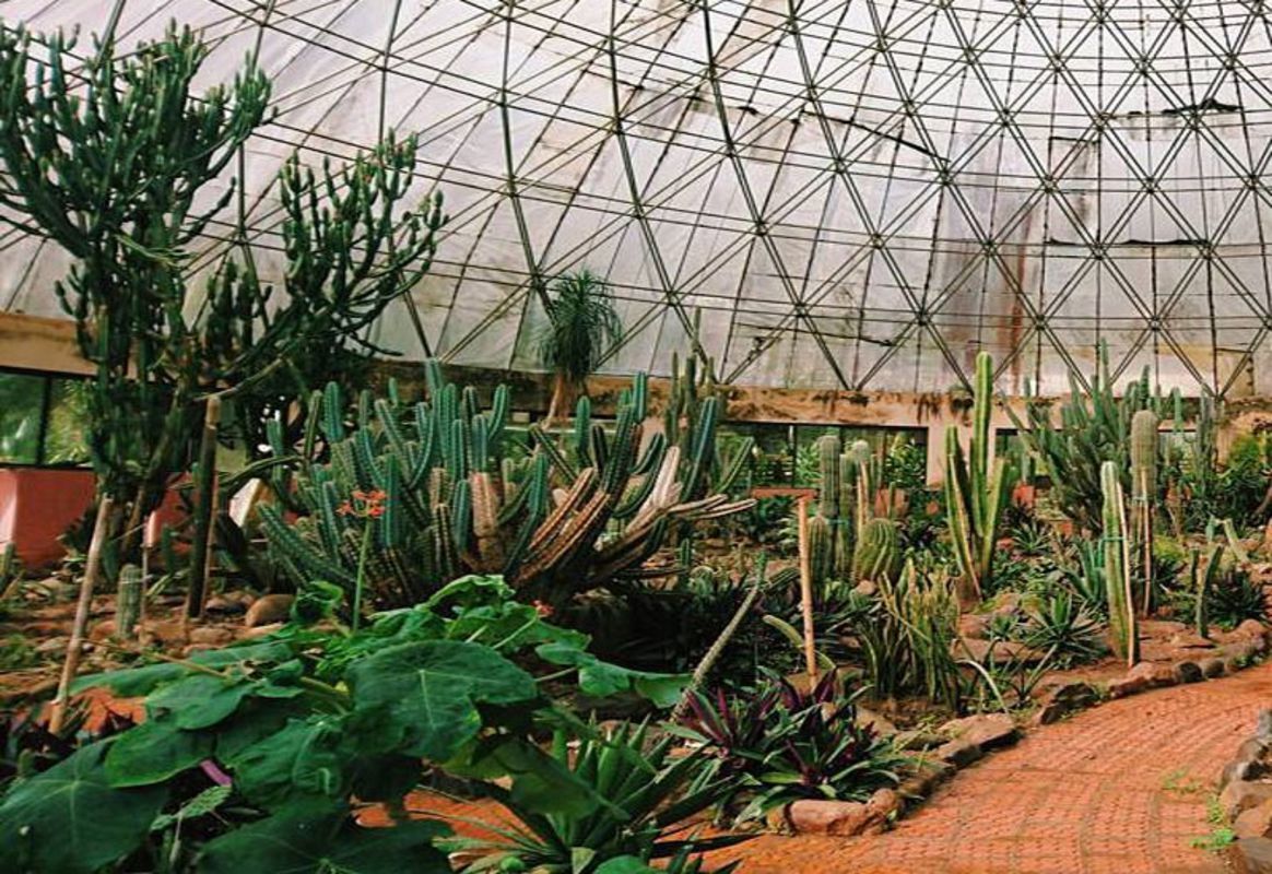 Cactus Garden in Ba Vi National Park