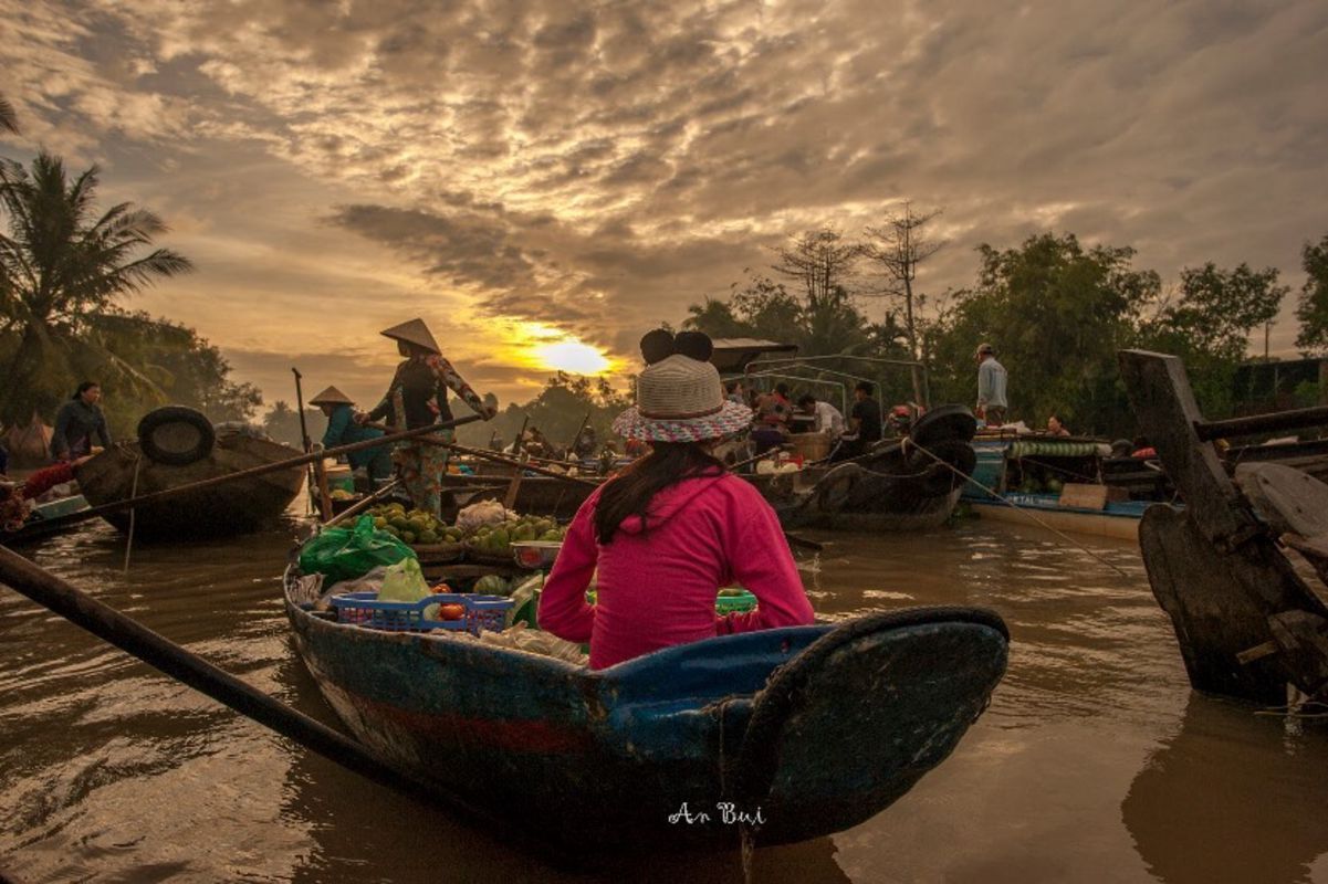 Experience Can Tho Tours with sustainable adventures