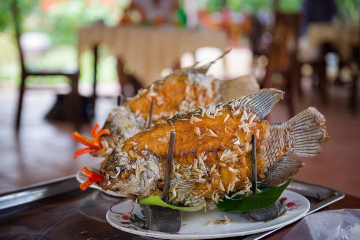 Seize the flavorful spirit of Thoi Son Travel