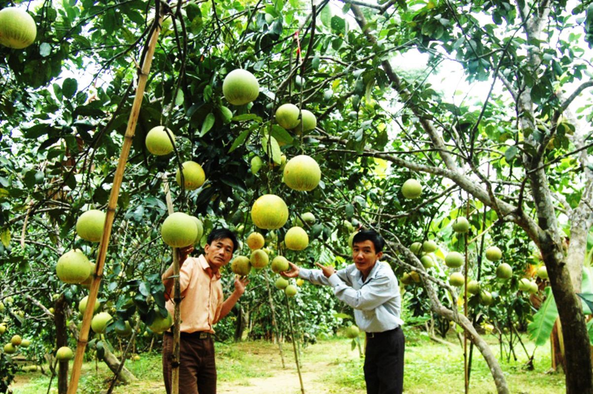 Learn Ha Tinh’s cultural heritage with expert insights