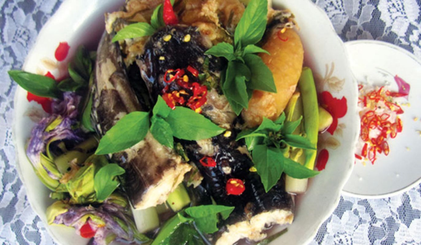 Dive into the tangy charm of Tien Giang Travel