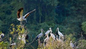 Dive into the natural charm of Ninh Binh Travel