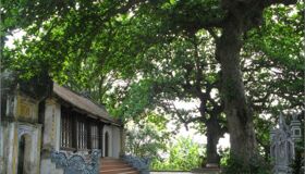 Begin your Thai Binh Tours with a cultural adventure