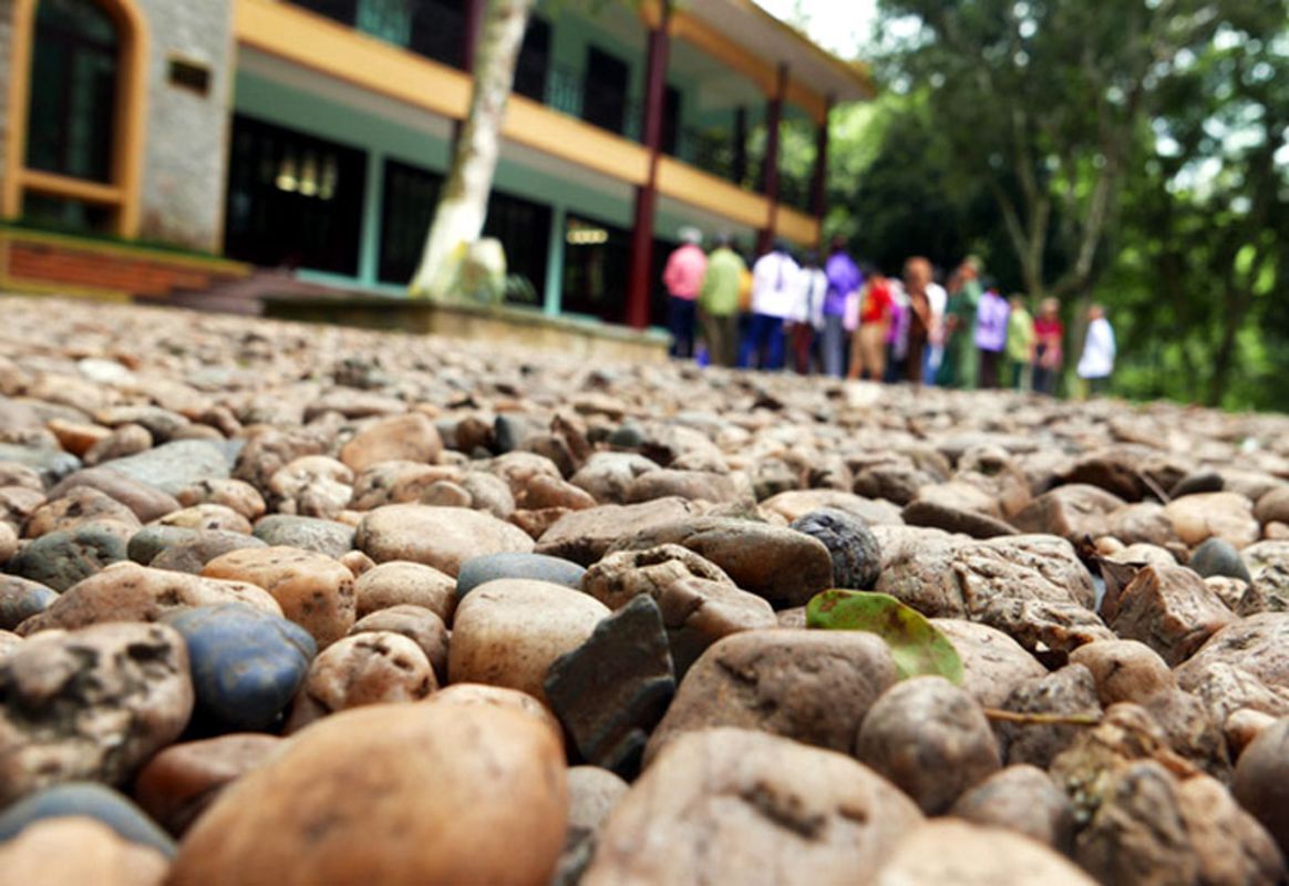 Start your Hanoi Travel with tranquil vistas