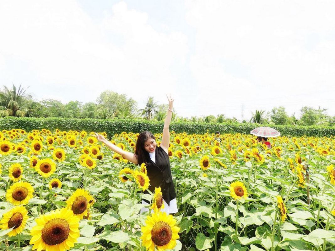 Start your Mãn Đình Hồng Travel with tranquil vistas
