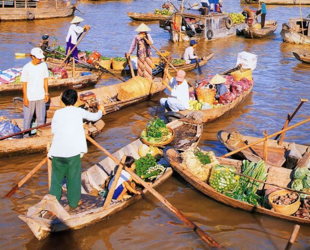 Capture the serene beauty of Dong Thap’s eco-tourism gem