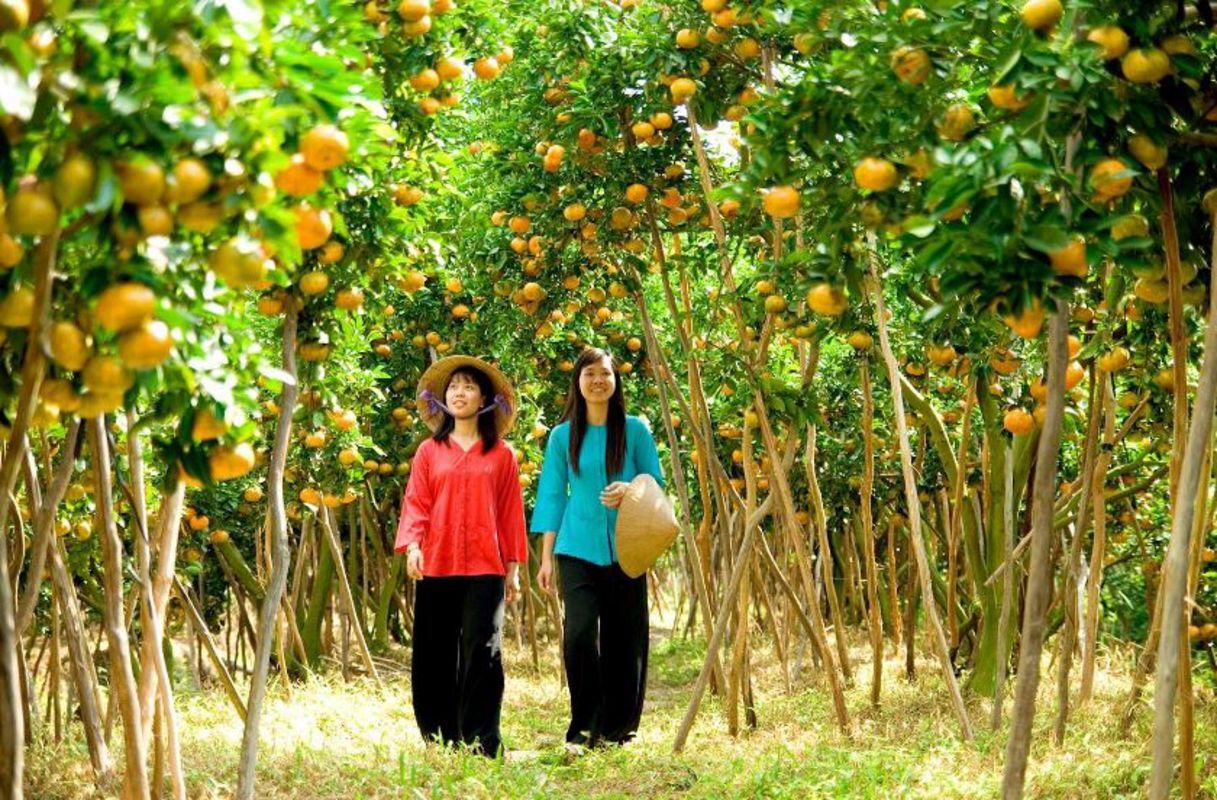 Cái Mơn Fruit Garden