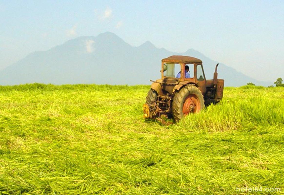 Dive into the adventurous charm of Hanoi Travel