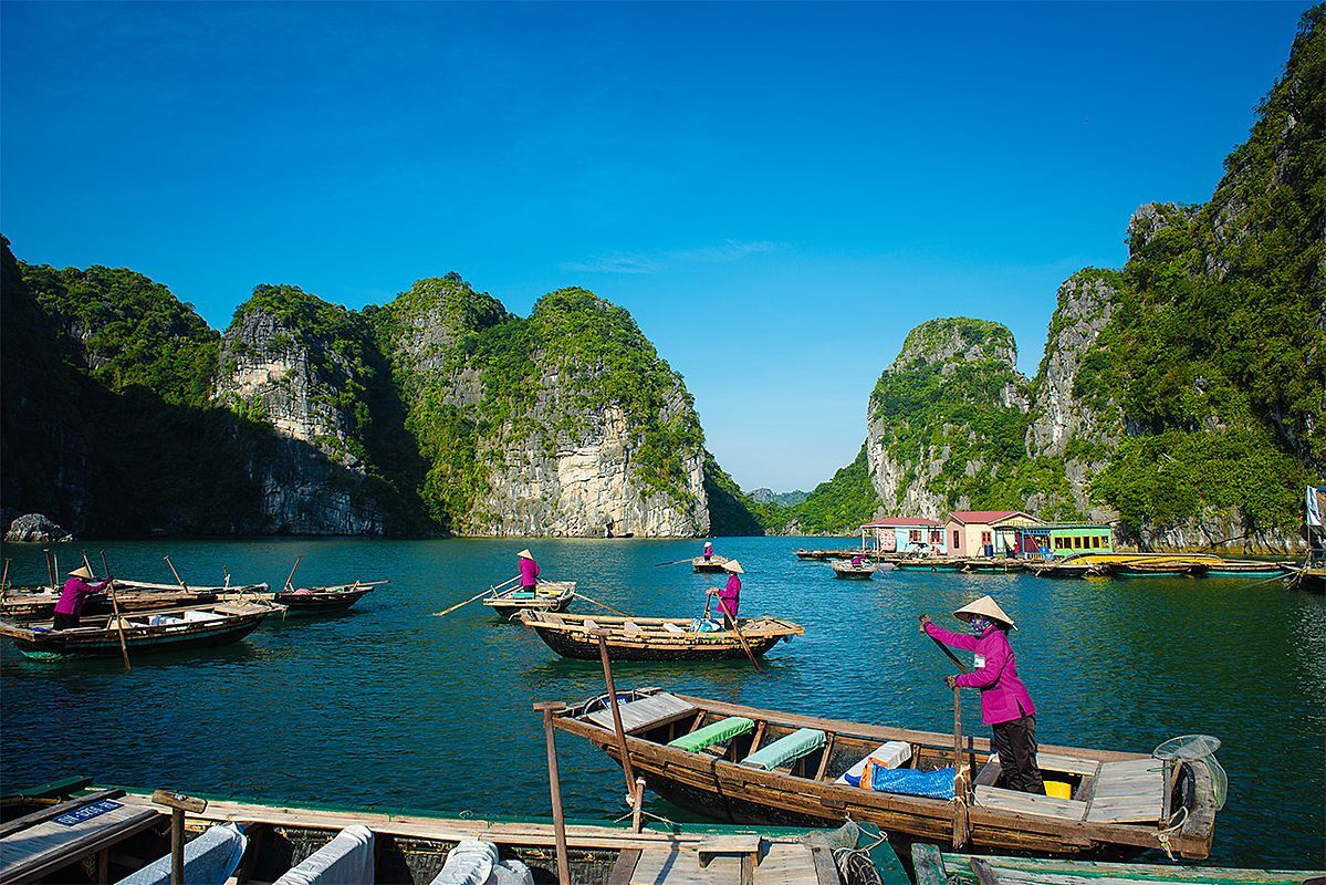 Capture the sustainable charm of Halong Bay’s ecotourism