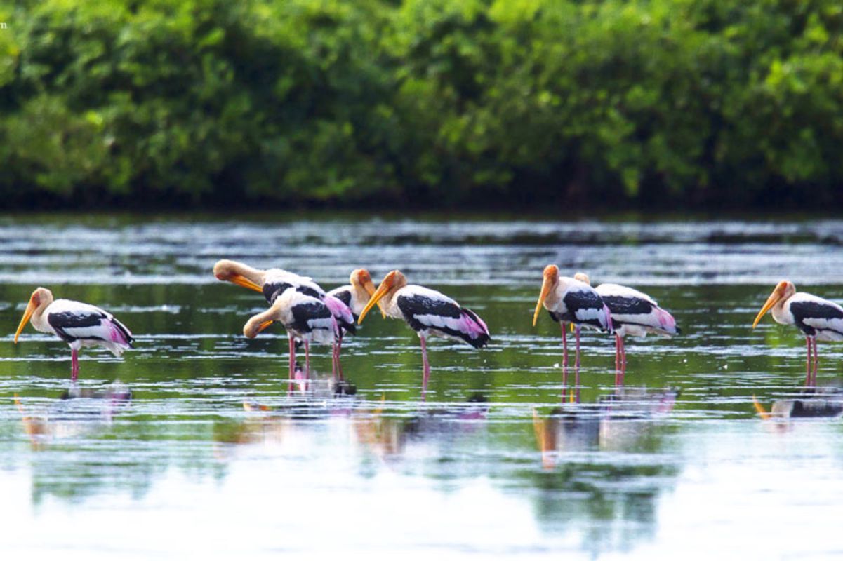 Dive into the serene charm of Nam Dinh Travel