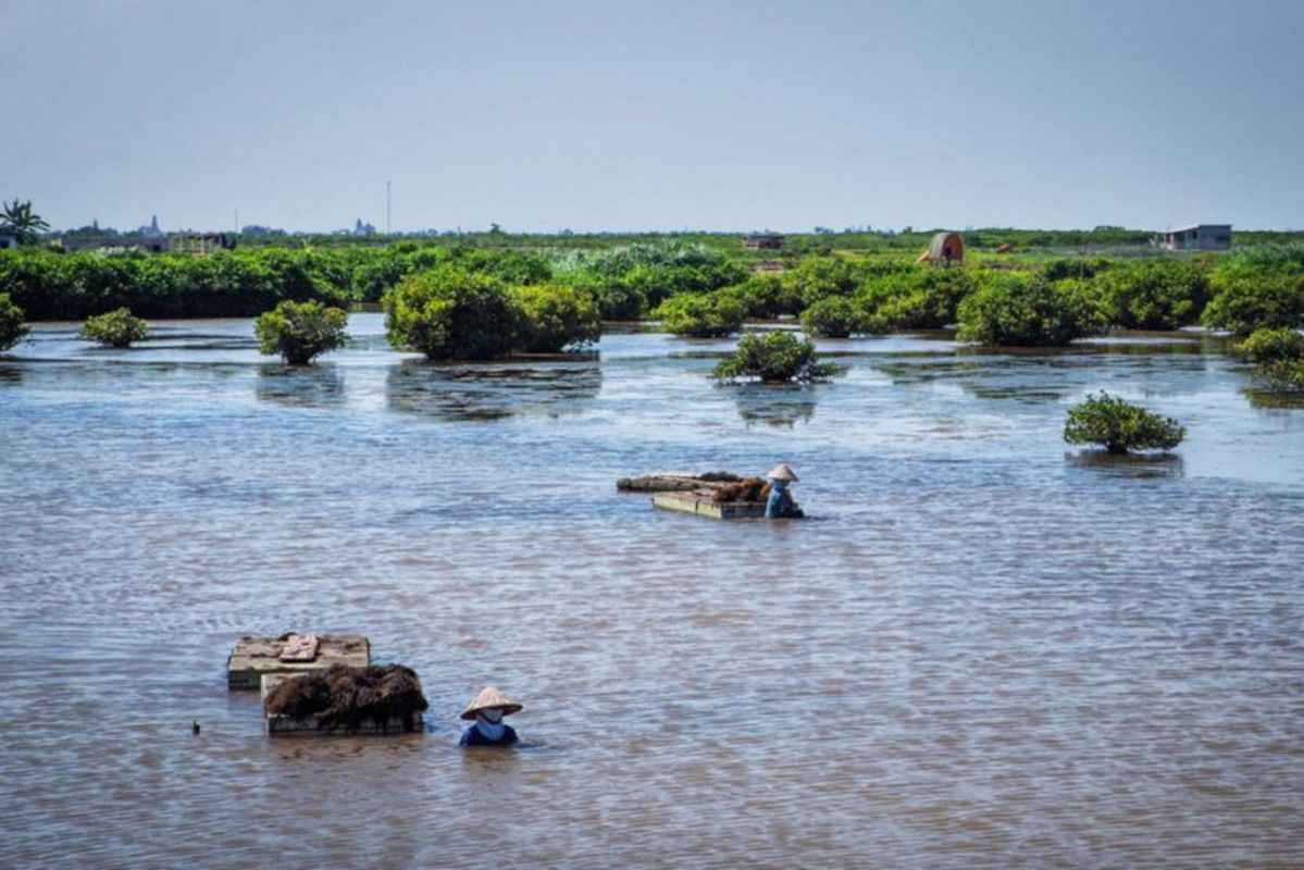 Xuan Thuy National Park