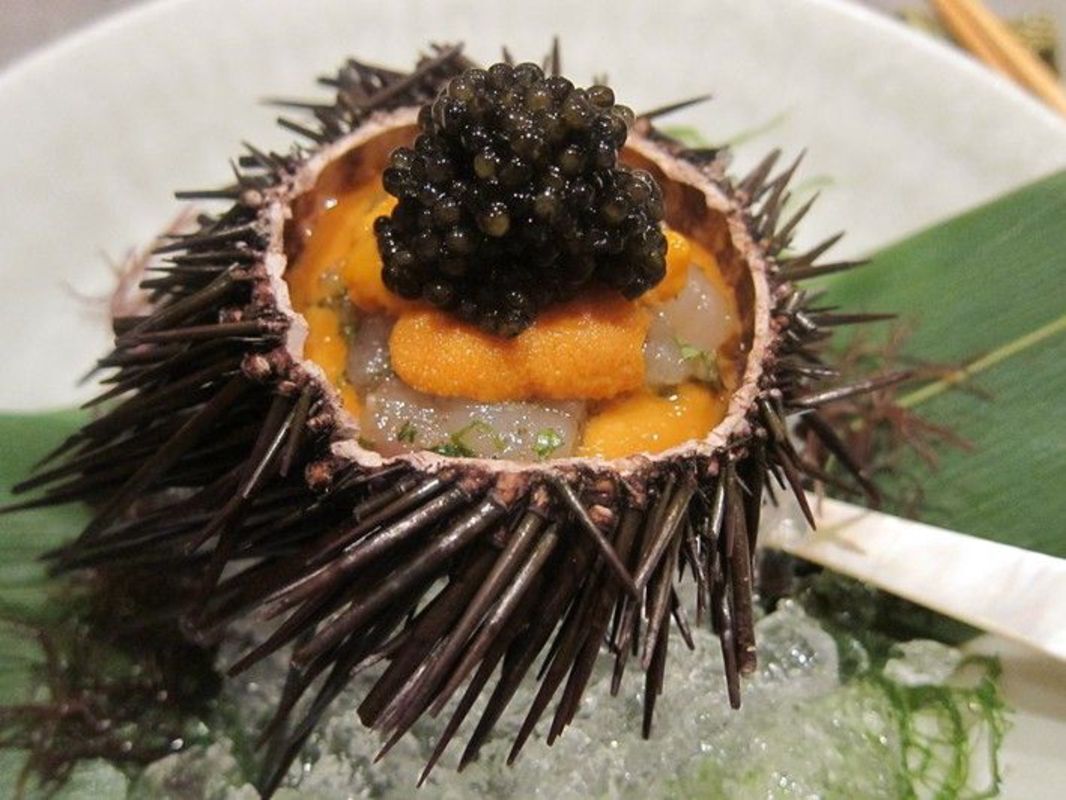 Experience Phu Quoc Tours with sustainable adventures