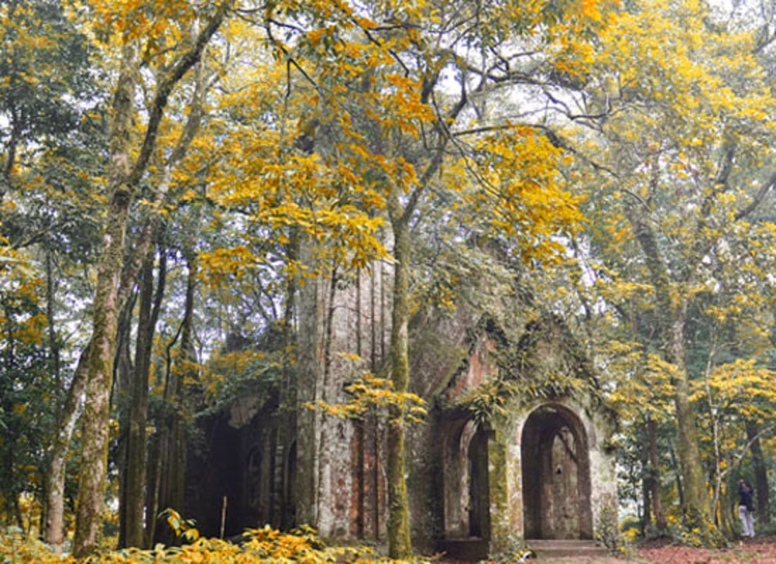 Photograph the natural allure of Hanoi’s wilderness