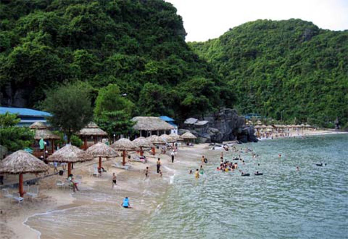 Capture the tranquil charm of Cat Ba’s wilderness