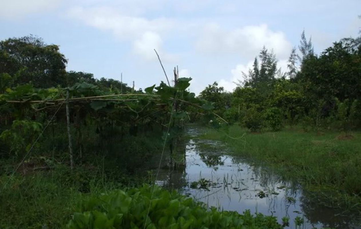 Start your Hau Giang Travel with tranquil vibes