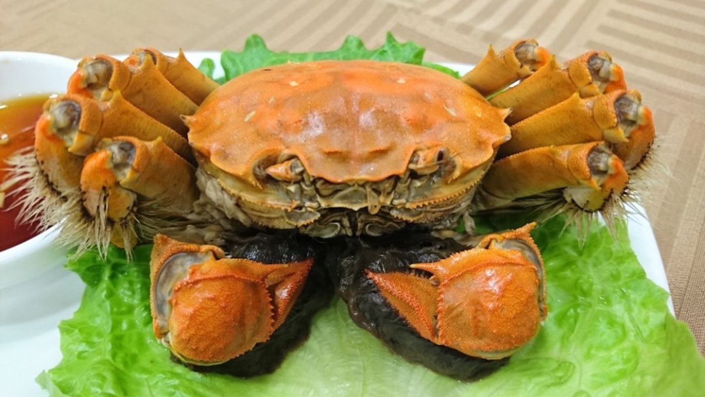 Start your Kep Travel with flavorful vibes