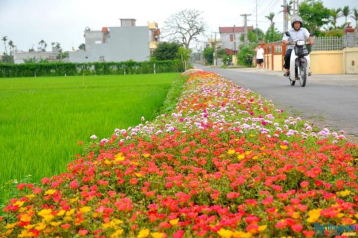 Start your Thai Binh Travel with tranquil vibes