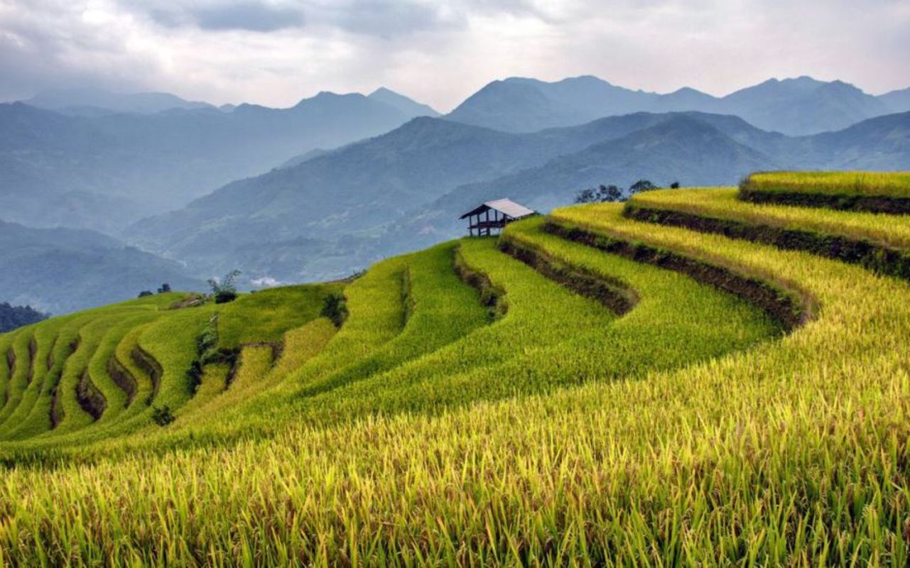 Start your Hoang Su Phi Travel with serene vistas
