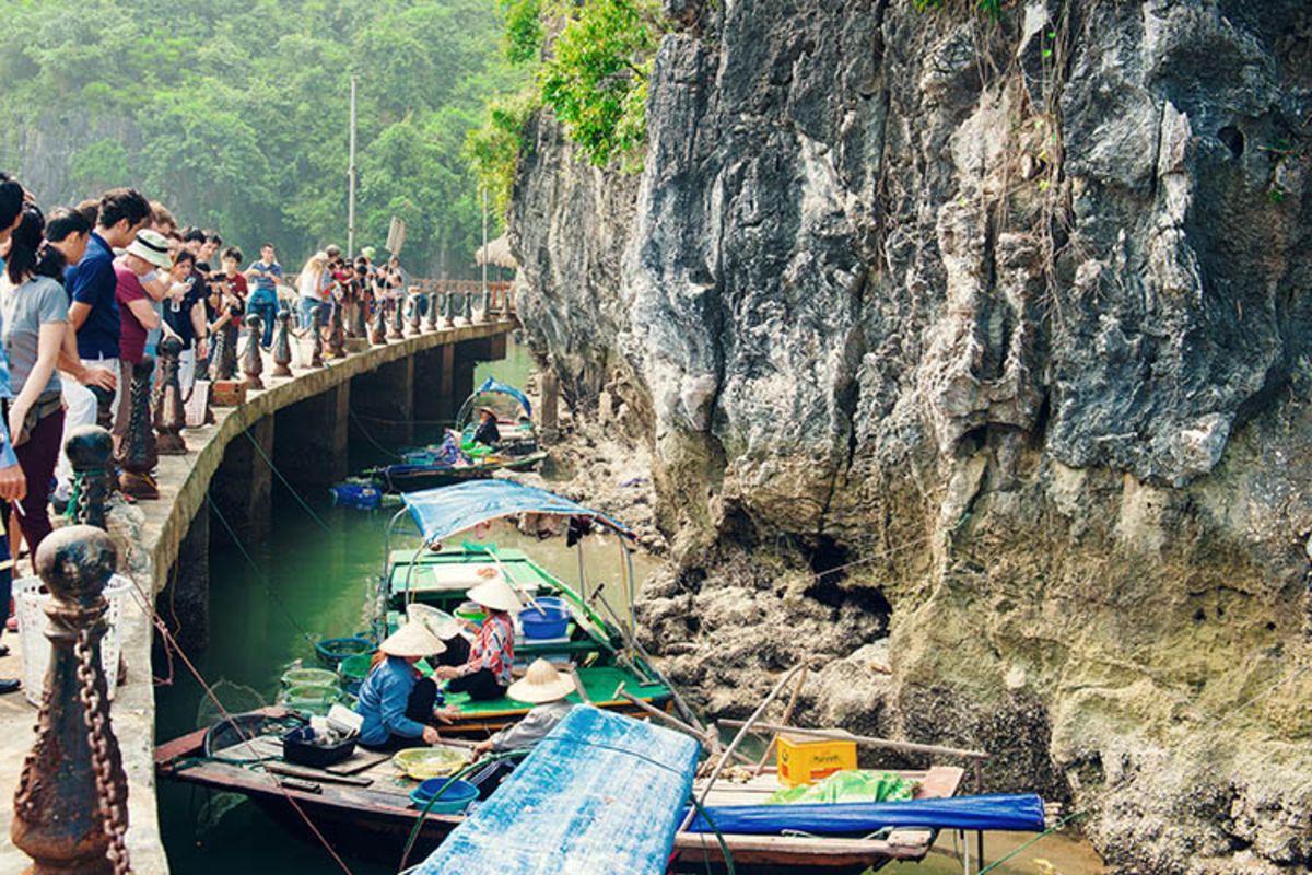 Begin your Halong Bay Tours with a scenic adventure