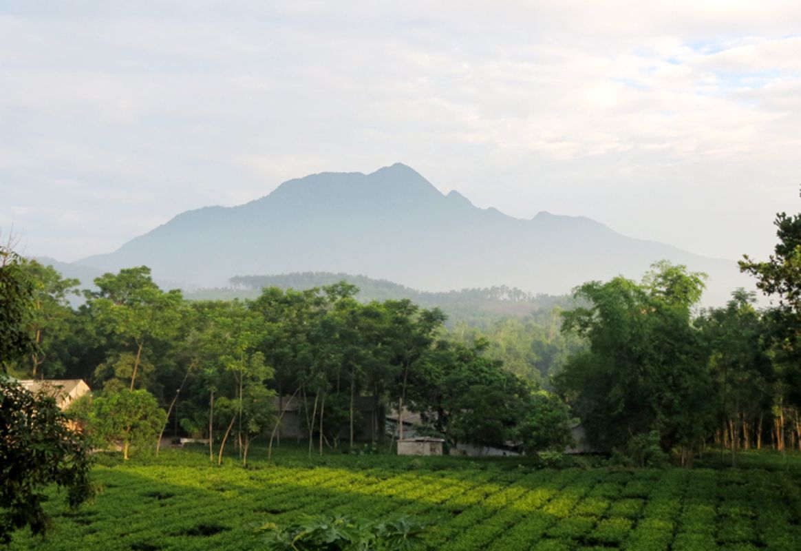 Learn Hanoi’s heritage with expert insights