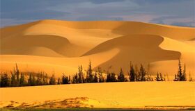 Capture the vibrant beauty of Phan Thiet’s desert gem