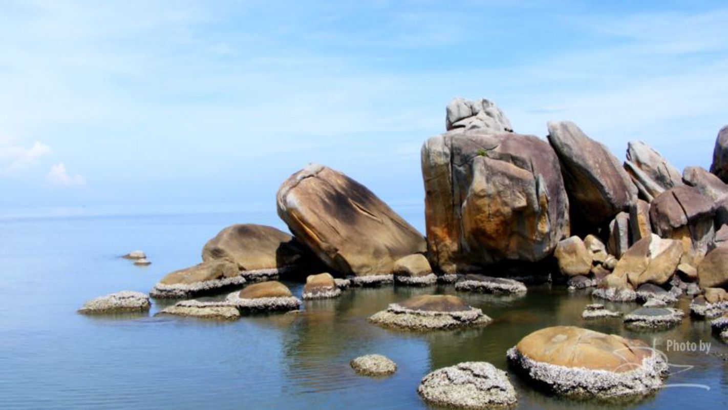 Dive into the natural charm of Ca Mau Travel
