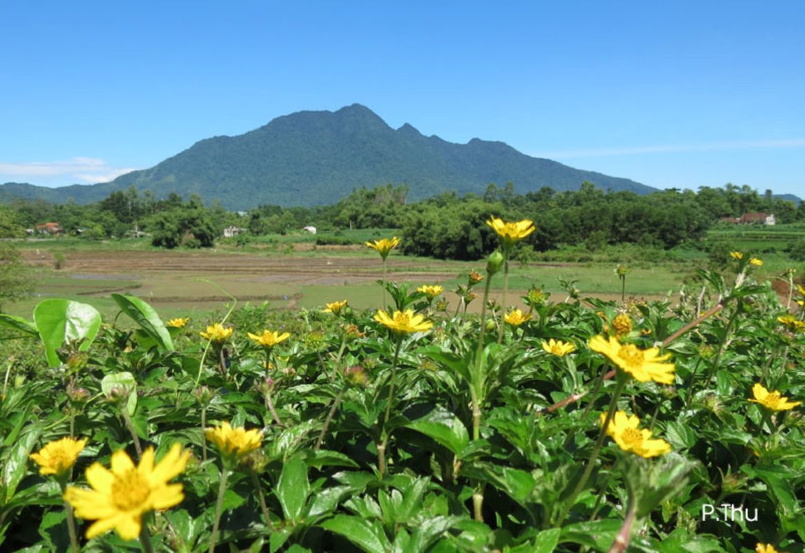 Capture the serene beauty of K9 Đá Chông’s revolutionary legacy