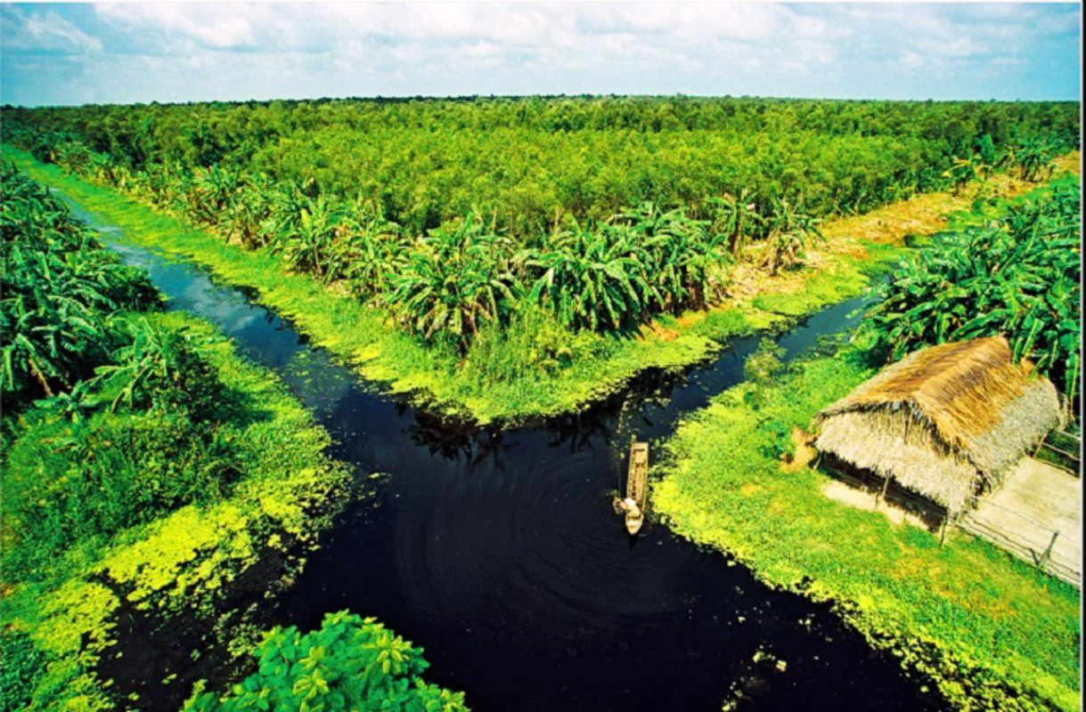 Photograph the cultural allure of Ca Mau Travel’s heritage