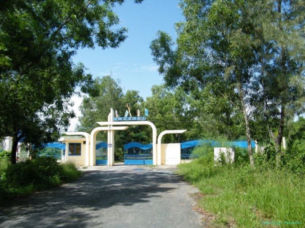 Photograph the lush allure of Ca Mau’s biodiversity