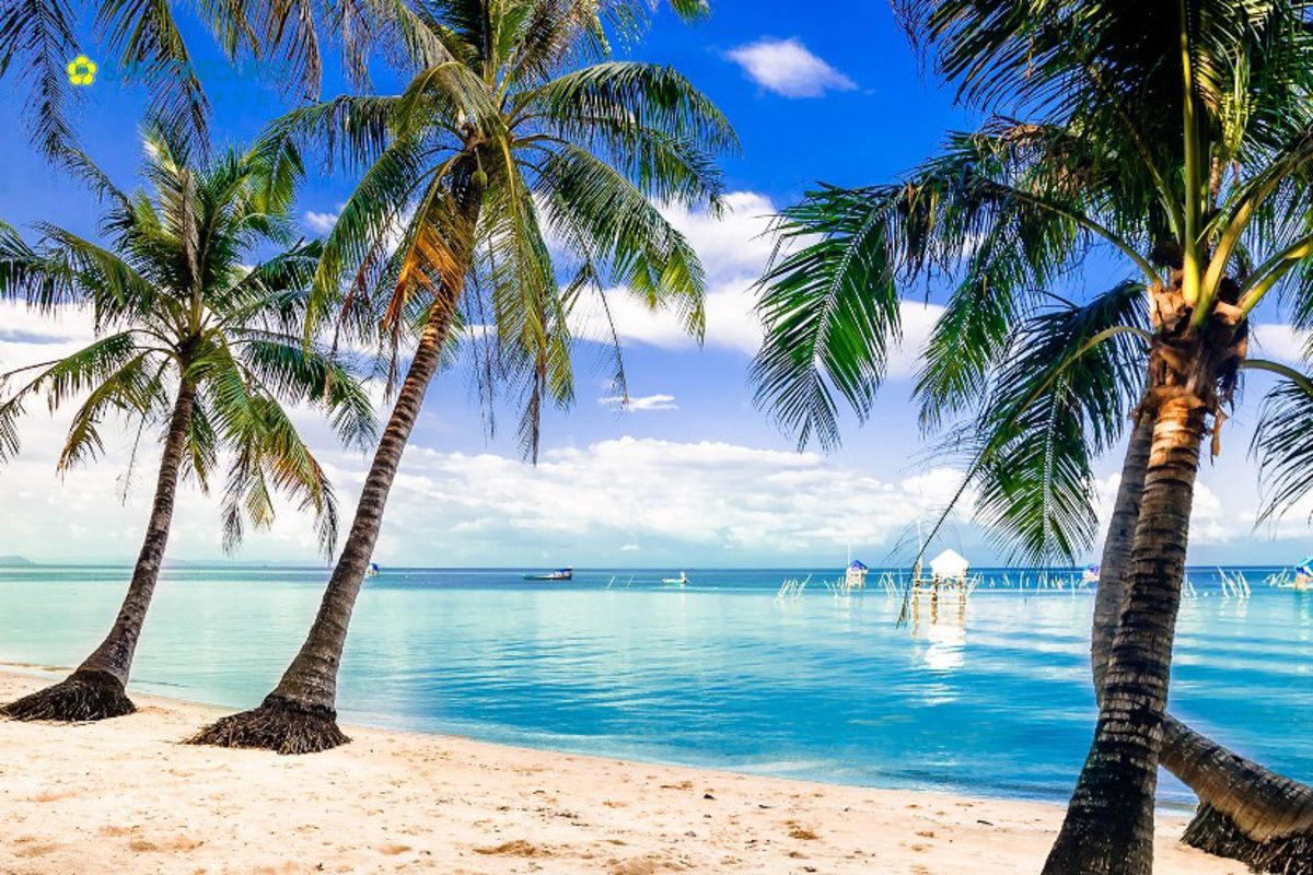 Bai Sao Beach - Begin your Phu Quoc Tours with a scenic adventure