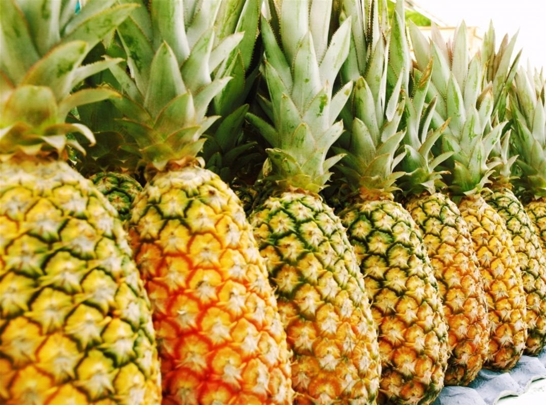 Capture the sweet essence of Can Tho’s culinary gem