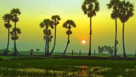 Best Time to Visit An Giang: Chau Doc Travel Guide & Sustainable Tours