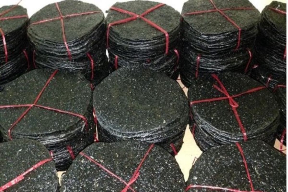 Capture the sustainable charm of Ha Tinh’s ecotourism