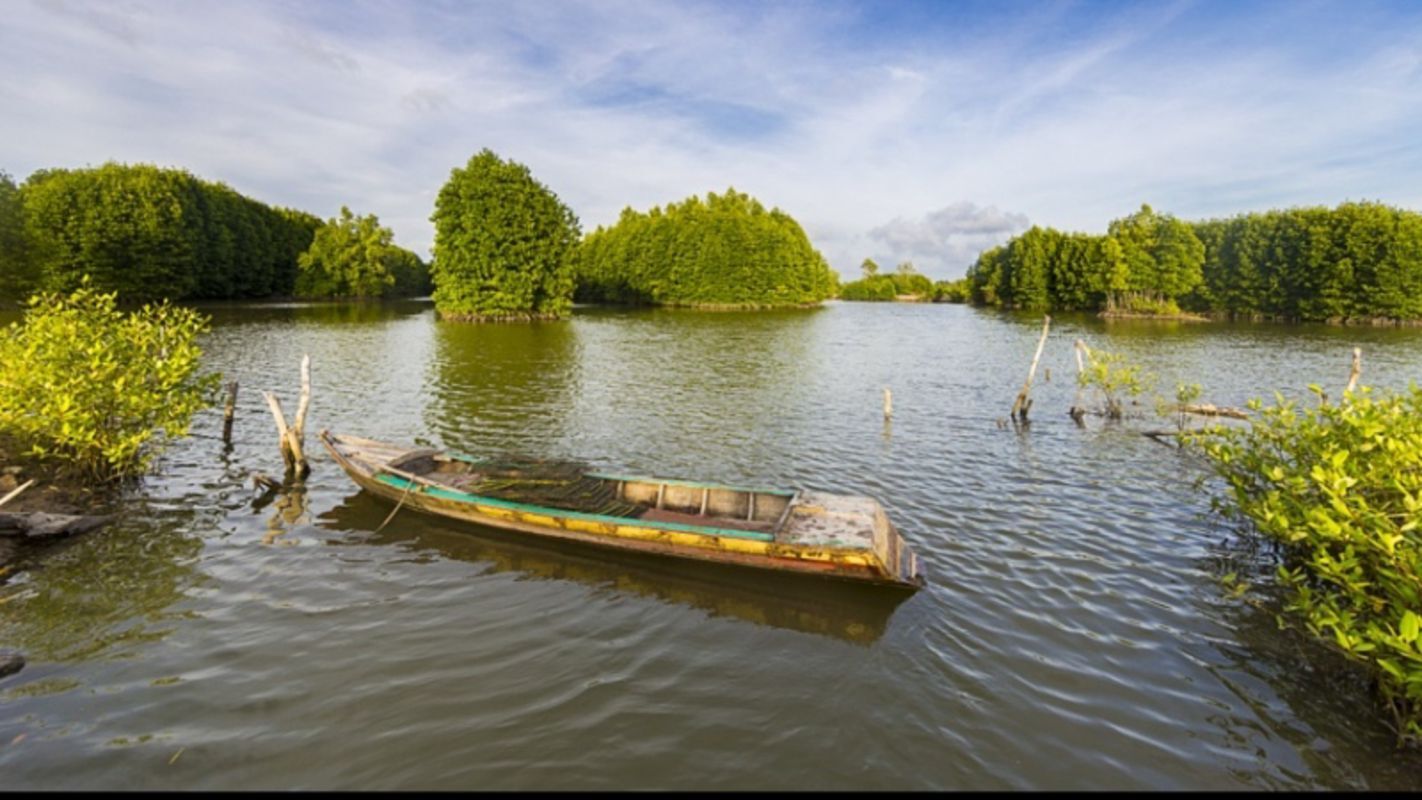 Capture the natural beauty of Ca Mau’s eco-tourism gem