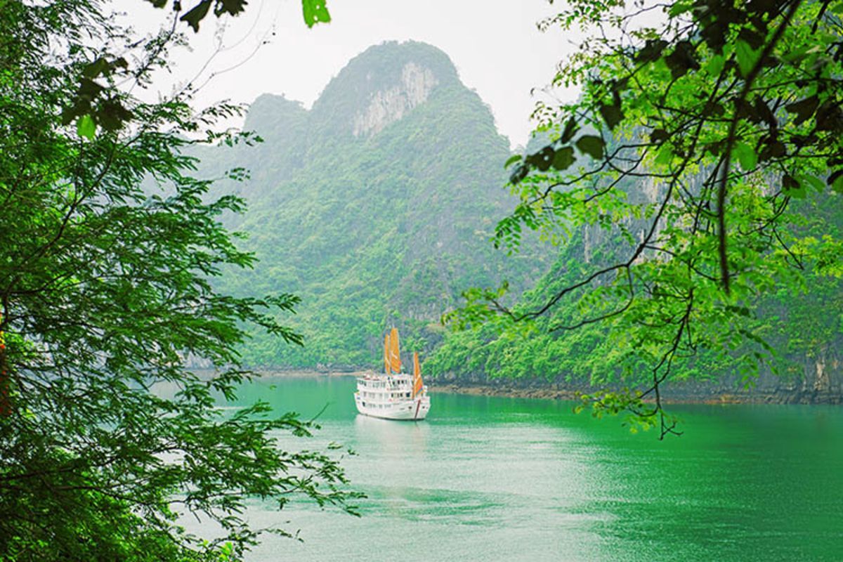 Capture the serene beauty of Halong Bay’s UNESCO gem