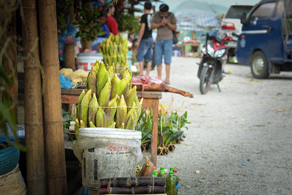 Exploring the countryside on foot or by bicycle