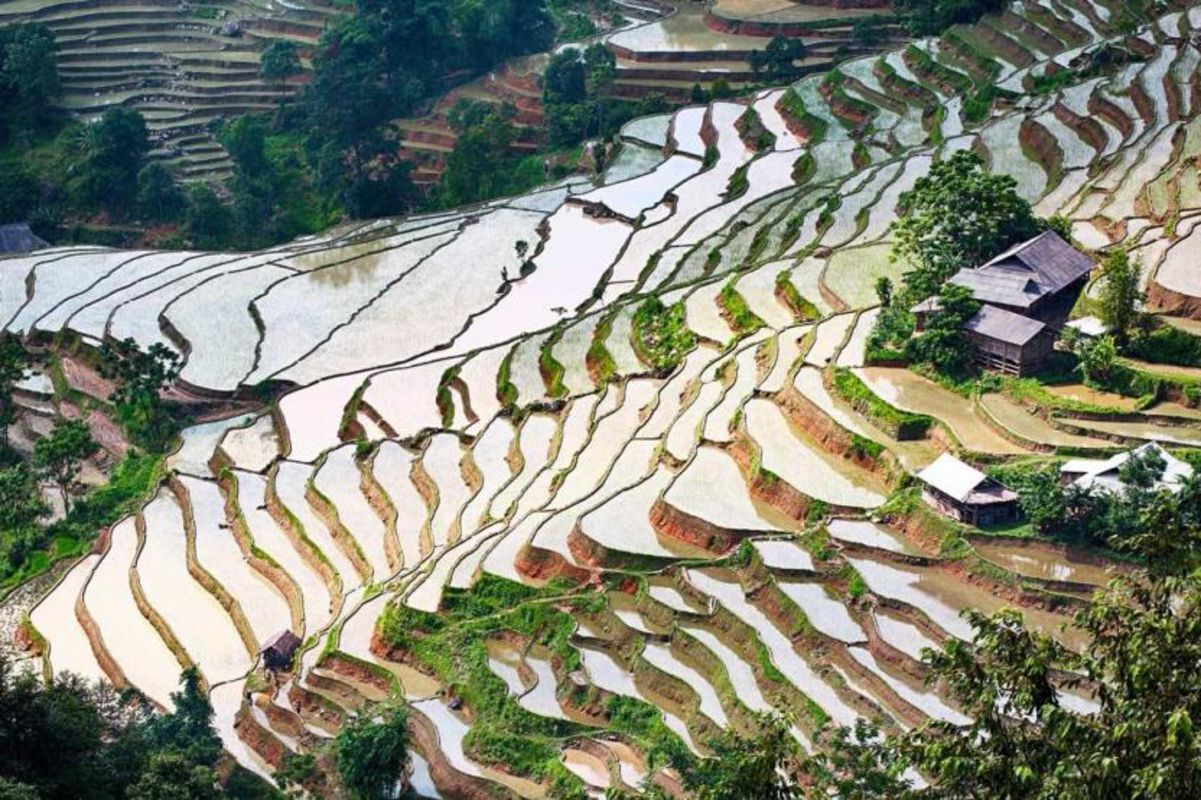 Seize the vibrant spirit of Tuyen Quang Travel