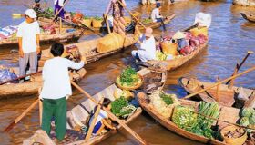 Dive into the tranquil charm of Dong Thap Travel