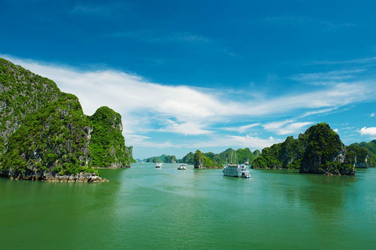 Capture the vibrant beauty of Halong Bay’s UNESCO gem