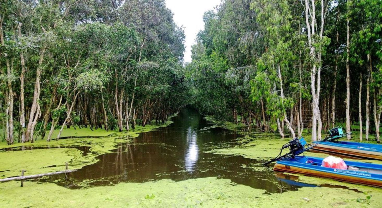Capture the serene beauty of An Giang’s eco-tourism gem