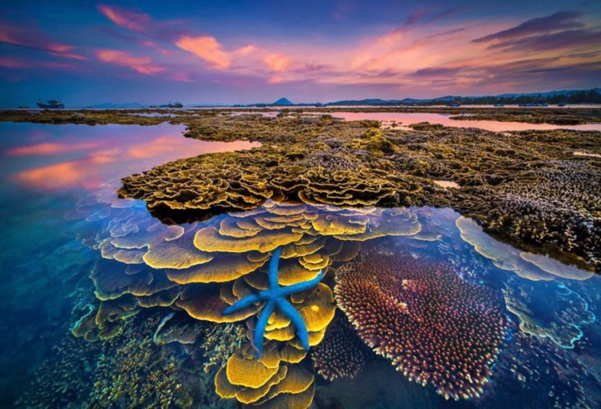 Photograph the cinematic allure of Yen Islet’s landscapes