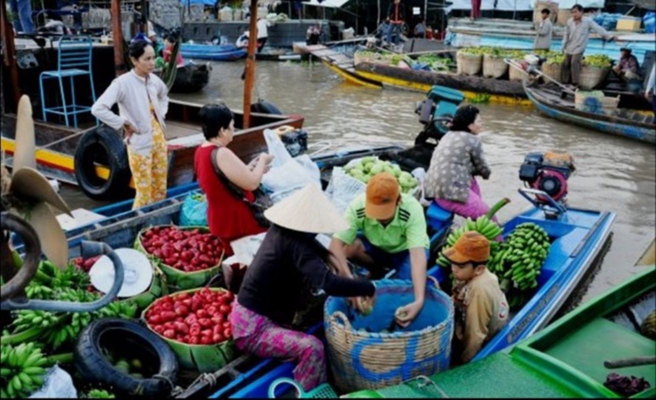 Experience An Giang Tours with sustainable adventures