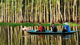 Dive into the authentic charm of Dong Thap Travel