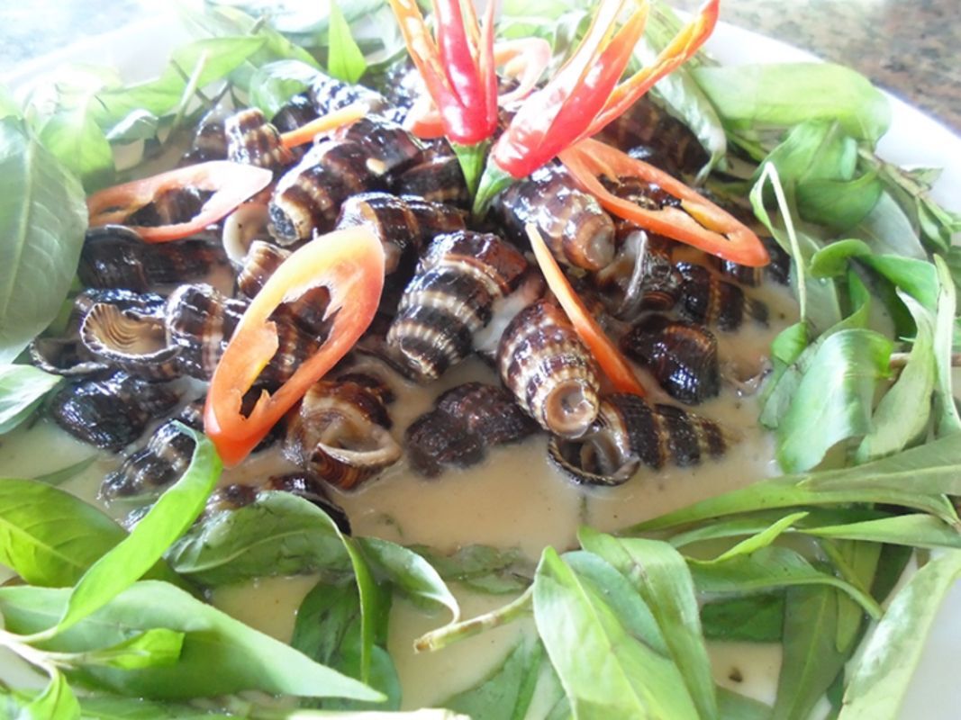 Snail in Coconut Milk "Ốc Dừa"